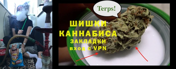 амф Елизово
