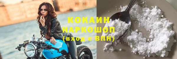 ГАЛЛЮЦИНОГЕННЫЕ ГРИБЫ Ельня