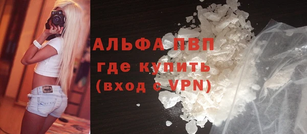 ГАЛЛЮЦИНОГЕННЫЕ ГРИБЫ Ельня