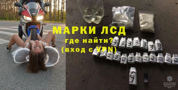 ГАЛЛЮЦИНОГЕННЫЕ ГРИБЫ Ельня