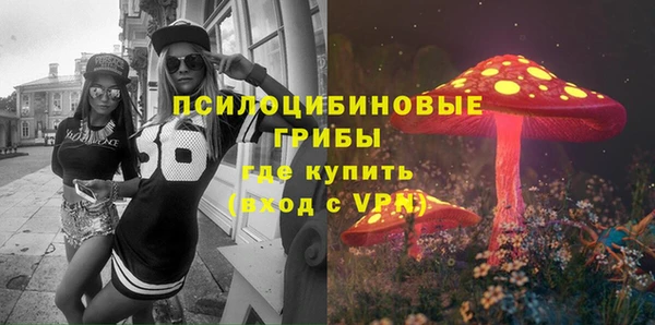 ГАЛЛЮЦИНОГЕННЫЕ ГРИБЫ Ельня