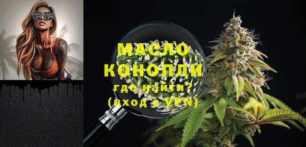 ГАЛЛЮЦИНОГЕННЫЕ ГРИБЫ Ельня