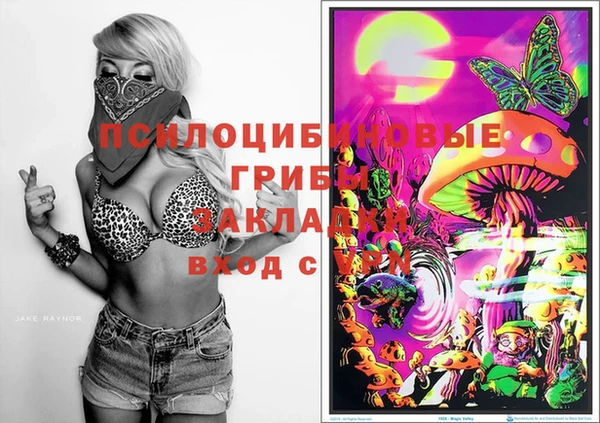 ГАЛЛЮЦИНОГЕННЫЕ ГРИБЫ Ельня