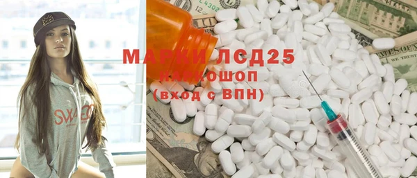 ГАЛЛЮЦИНОГЕННЫЕ ГРИБЫ Ельня