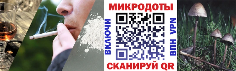 Псилоцибиновые грибы Psilocybe  Облучье 